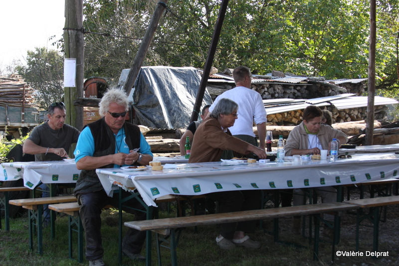 Field Erstein 09 (82).JPG